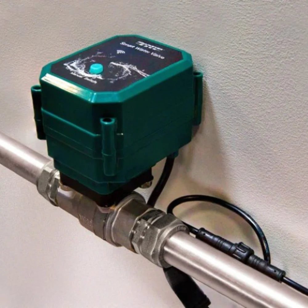 Shelly FrankEver Smart Water Valve DN20