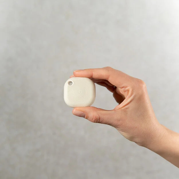 Shelly Blu Button Tough 1 ZB Ivory