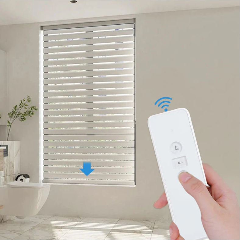 Zemismart  Rechargable Roller Shade Motor 1-Channel Remote